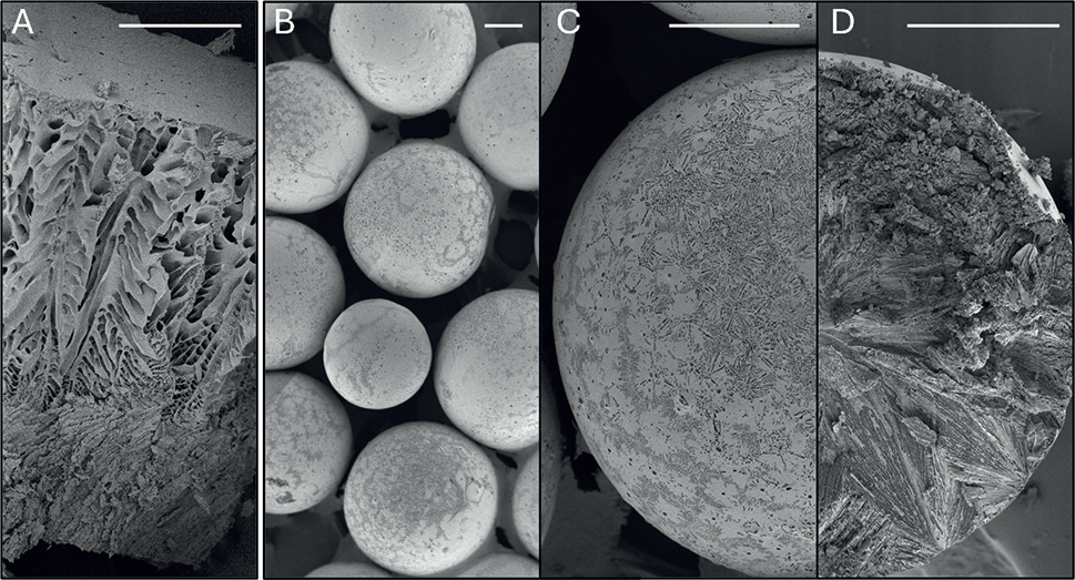 Atmospheric Spray Freeze-Drying | A more sustainable lyophilization process